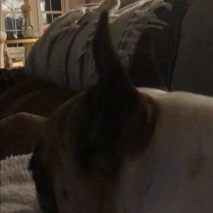 Meet your Posher, Marc